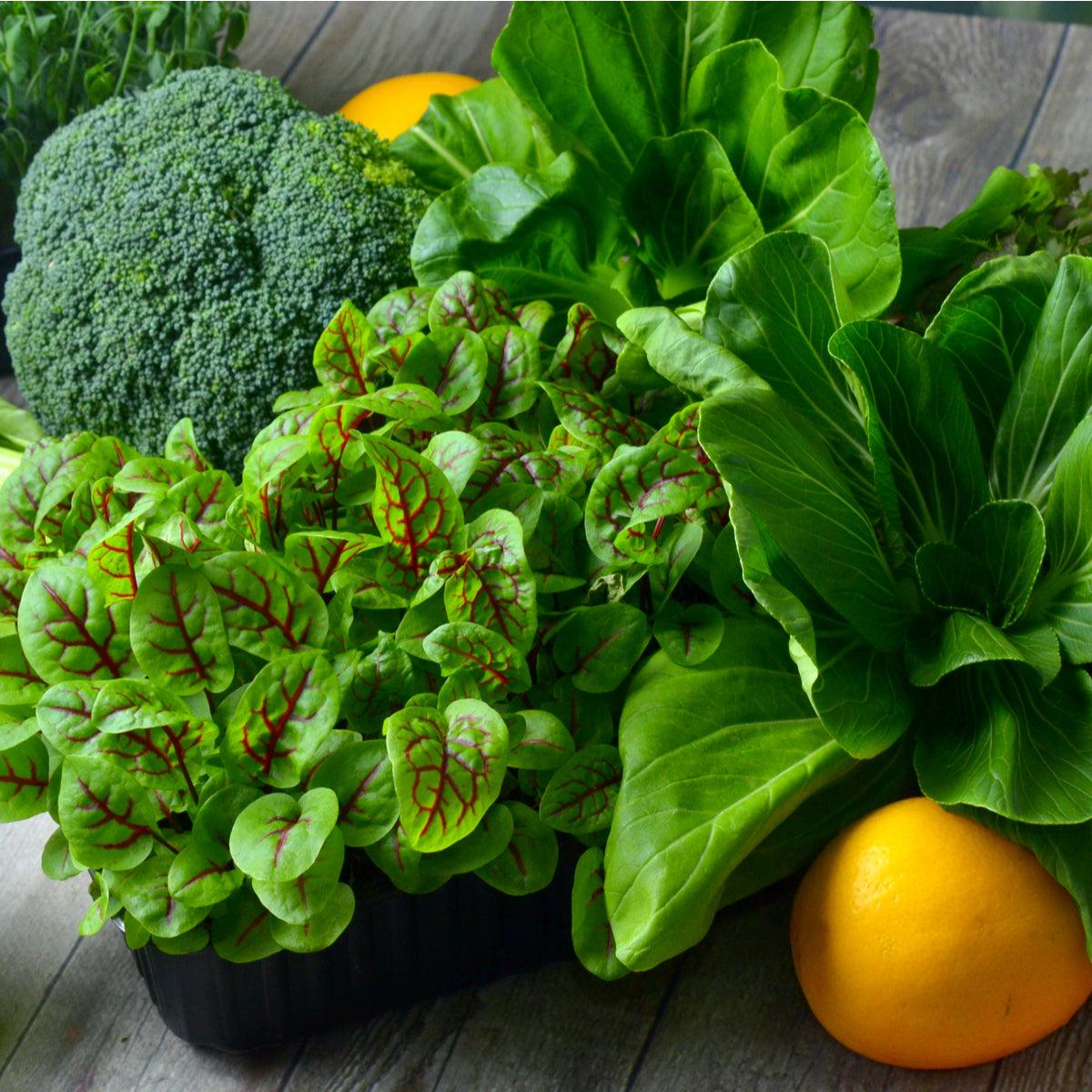 All about Folate - Source Biology